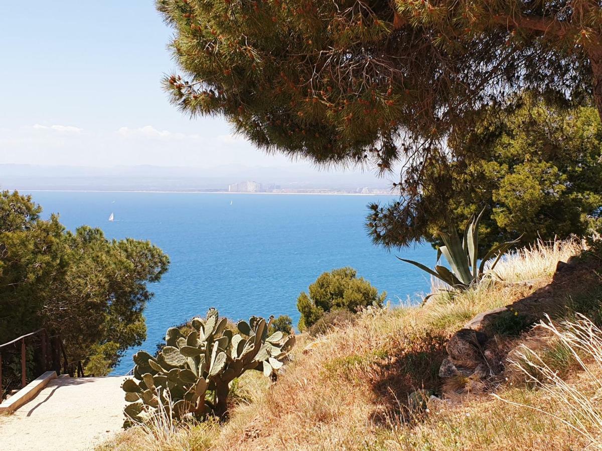 Studio Calme Avec Parking Et Ascenseur -304- Canet-en-Roussillon Buitenkant foto